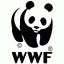 wwf campania