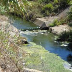 torrente_dauria