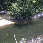 IMG-20110723-00020