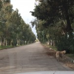 thumb_IMG_1804_1024