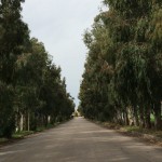 thumb_IMG_1806_1024