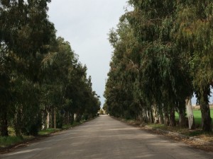 thumb_IMG_1806_1024