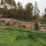 thumb_IMG_1816_1024