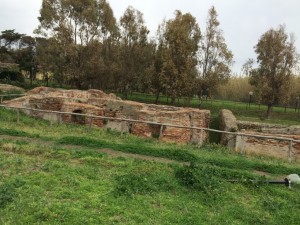 thumb_IMG_1816_1024