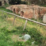 thumb_IMG_1823_1024
