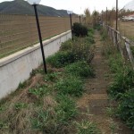 thumb_IMG_1832_1024
