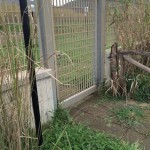 thumb_IMG_1833_1024