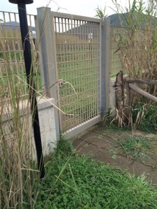 thumb_IMG_1833_1024