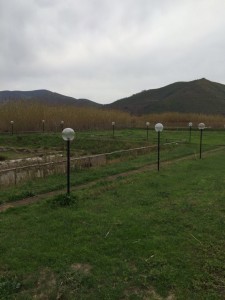 thumb_IMG_1836_1024