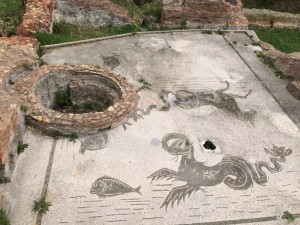 thumb_IMG_1840_1024