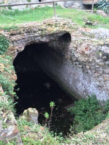 thumb_IMG_1843_1024