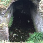thumb_IMG_1845_1024