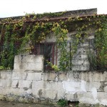 Muro pericolante Viale del Giglio