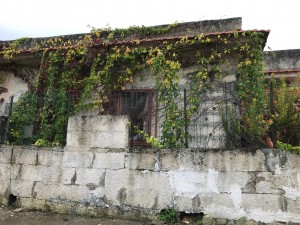 Muro pericolante Viale del Giglio