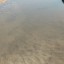 Foto Scattate alla foce dei trimoletto il giorno 08/07/2022